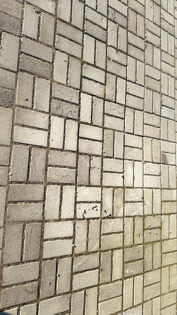 WhatsApp-Image-2026-03-10-at-23.23.58-1-576x1024 Portofoliu