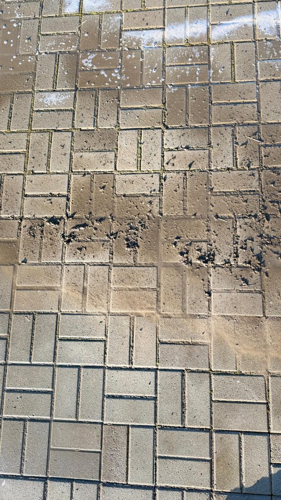 WhatsApp-Image-2026-03-11-at-18.55.05-576x1024 Portofoliu